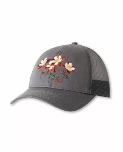 Stio Alpine Flora Trucker Accessories