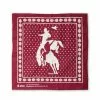 Stio Rodeo Bandana Men 2 Stio Rodeo Bandana Men