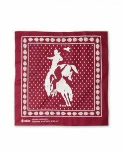 Stio Rodeo Bandana Men